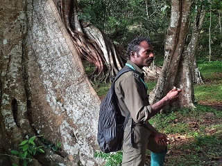 India Thekady Periyar Spice Garden 2019-06-21 038