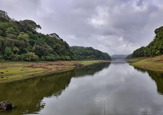 India Thekady Periyar Spice Garden 2019-06-21 040