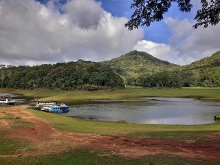 India Thekady Periyar Spice Garden 2019-06-21 041