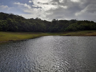 India Thekady Periyar Spice Garden 2019-06-21 042
