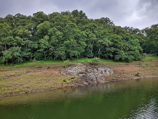 India Thekady Periyar Spice Garden 2019-06-21 043