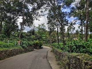 India Thekady Periyar Spice Garden 2019-06-21 045