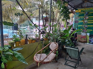 India Thekady Periyar Spice Garden 2019-06-21 046