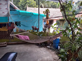 India Thekady Periyar Spice Garden 2019-06-21 047