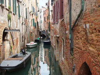 S0091246.webp