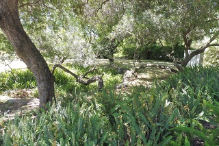 Zikhron-2021-04-22-24