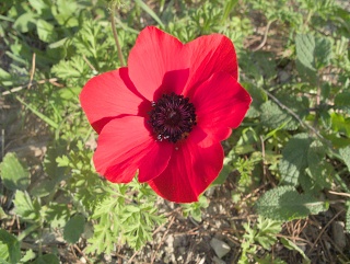 DSCF4707-sm