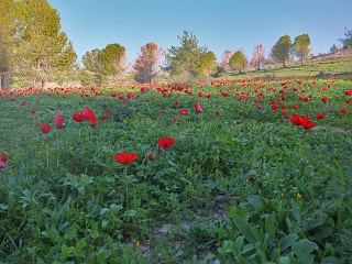 DSCF4714-sm