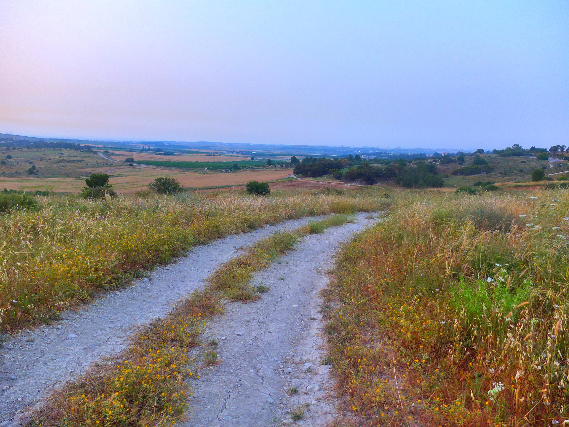 view towards Wahat al-Salam
