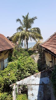 Los-angeles4