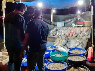 Fish