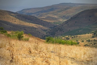 2022-05-tabor-stream-02