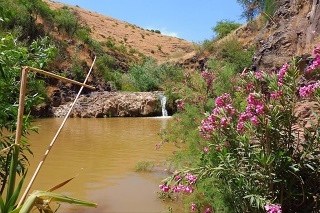 2022-05-tabor-stream-08